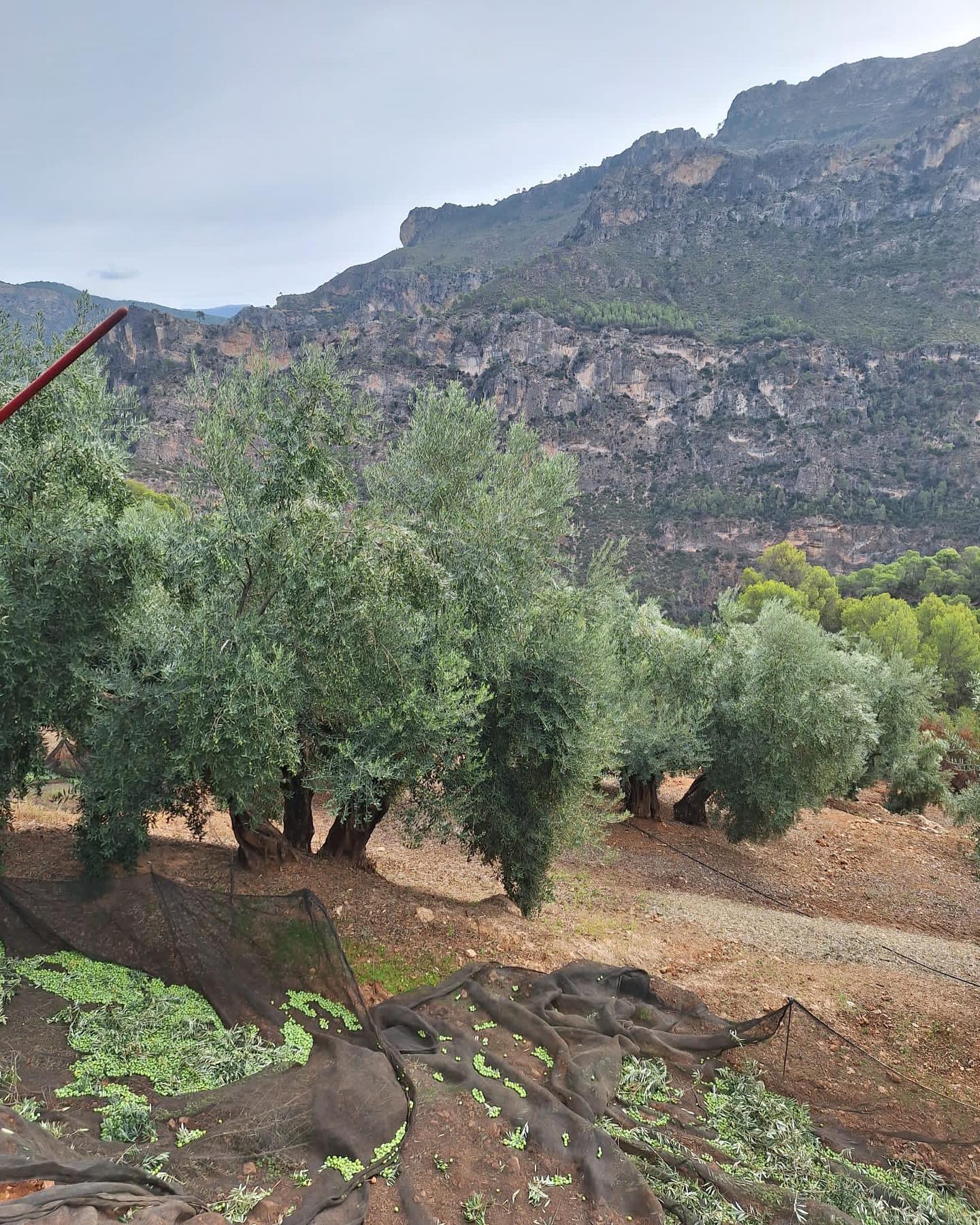 Ermita de la Hoz - Contacto