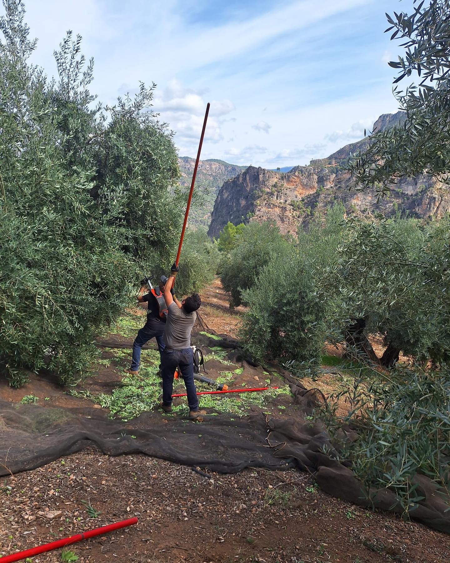 Ermita de la Hoz - Contacto